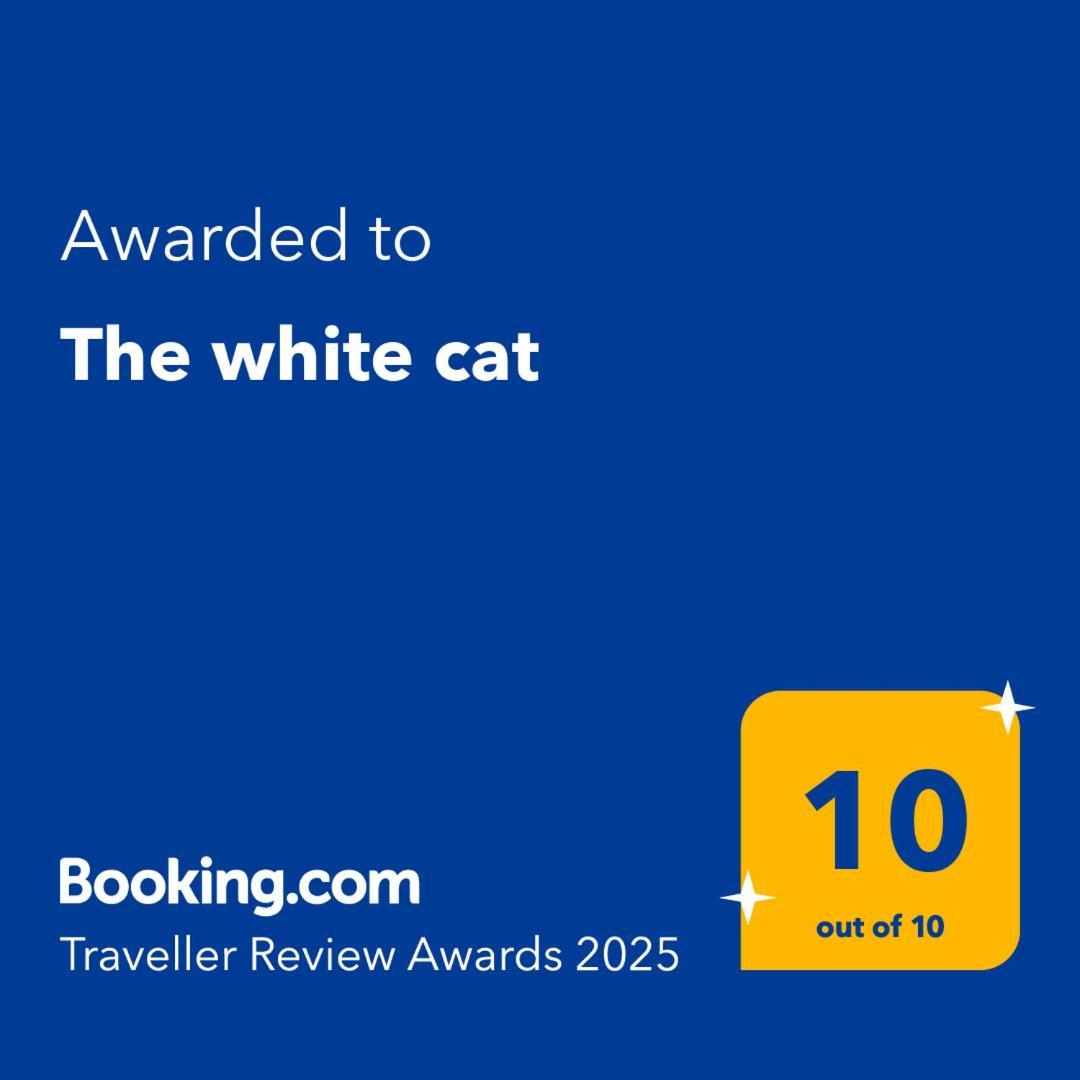 The White Cat Villa Napoli Bagian luar foto